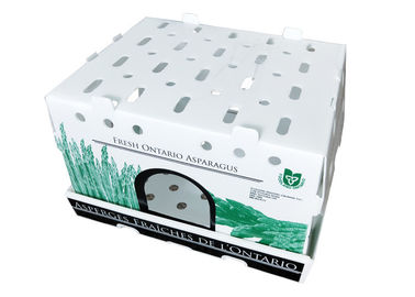 11lbs तह Asparagus नालीदार प्लास्टिक बॉक्स