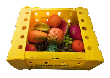 फल किशमिश पैकिंग पीपी खोखले नालीदार प्लास्टिक बॉक्स