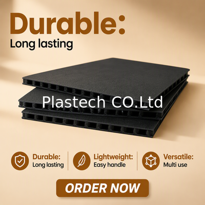 गुणवत्ता  10mm 3000gsm Plastic Proction Plastic Sheet Fly case Hoenycomb Polypropylene Flight Panel फैक्टरी